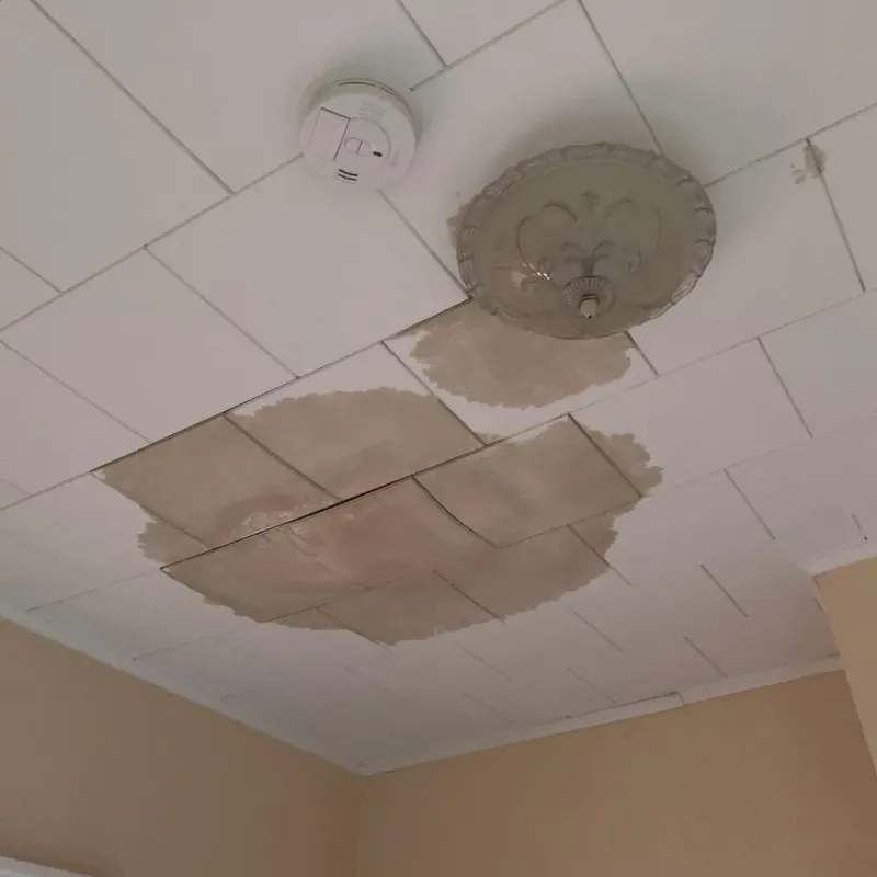 Ceiling Water Damage Repair in Cooper, TX