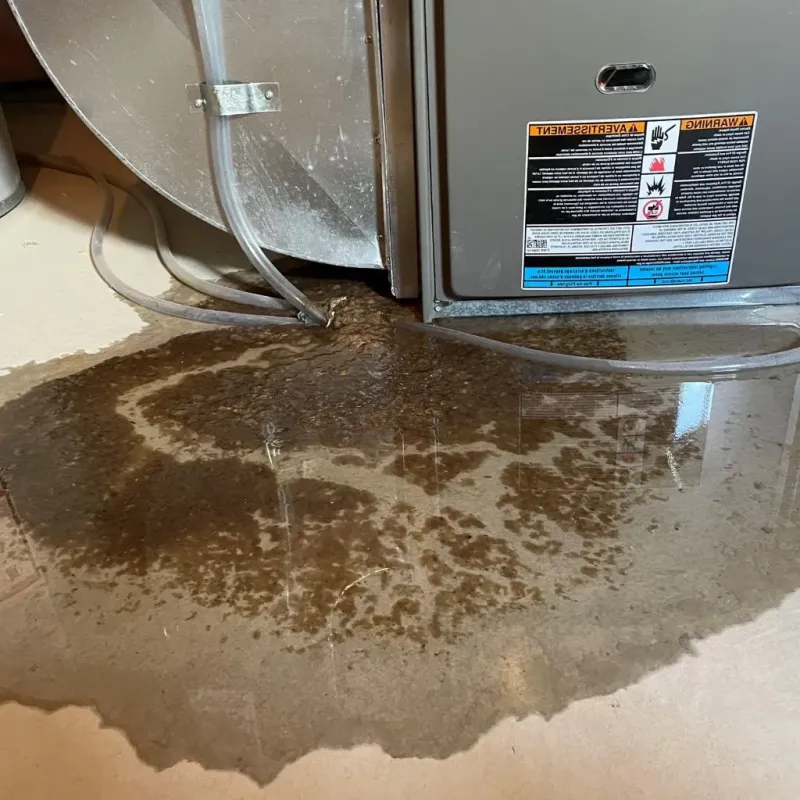 Pipe Burst and Leak Restoration in Cooper, TX