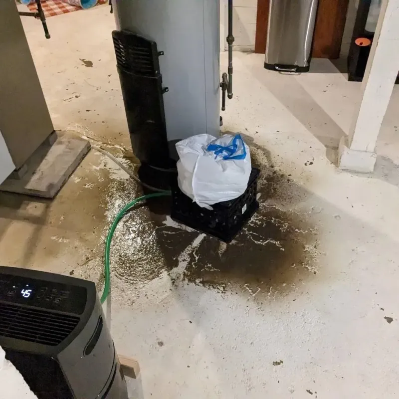Sewage Backup Cleanup Service in Cooper, TX